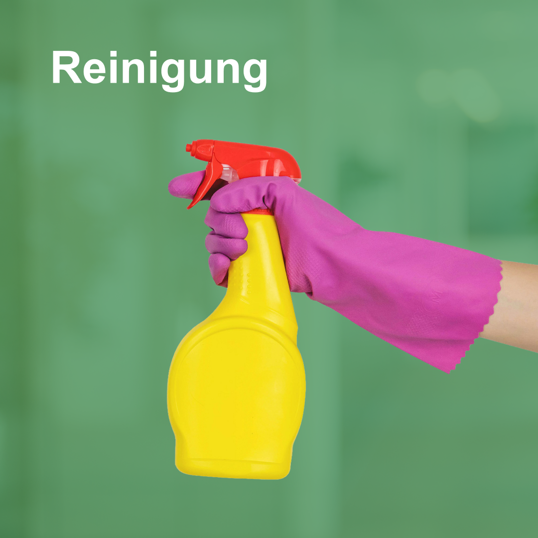 Reinigung