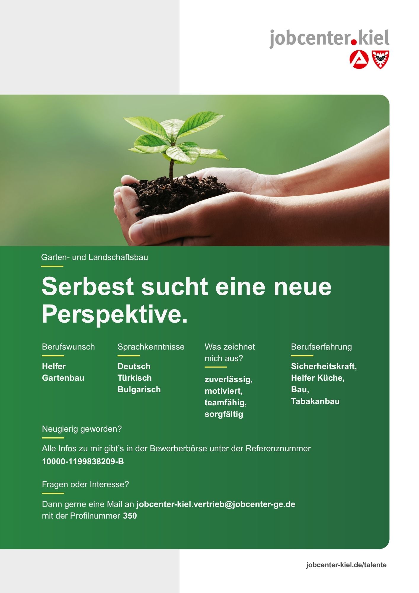 Voransicht eines Talentprofils des Jobcenters Kiel. Oben rechts das Logo des Jobcenters Kiel. Darunter eine Fotografie von Händen, die eine kleine Pflanze mit Erde halten. In der Bildmitte Text: ‚Serbest sucht eine neue Perspektive.‘ Es folgen Angaben zu Berufswunsch (Helfer Gartenbau), Sprachkenntnissen (Deutsch, Türkisch, Bulgarisch), Was zeichnet mich aus? (zuverlässig, motiviert, teamfähig, sorgfältig), sowie Berufserfahrung (Sicherheitskraft, Helfer Küche, Bau, Tabakanbau). Unten Kontaktinformationen zum Jobcenter Kiel mit E-Mail-Adresse (jobcenter-kiel-vertrieb@jobcenter-ge.de), Profilnummer (350) und die Referenznummer (10000-1199838209-B) für die Bewerberbörse der Agentur für Arbeit. Mit Klick auf diese Voransicht erscheint das Profil als PDF mit denselben Informationen.