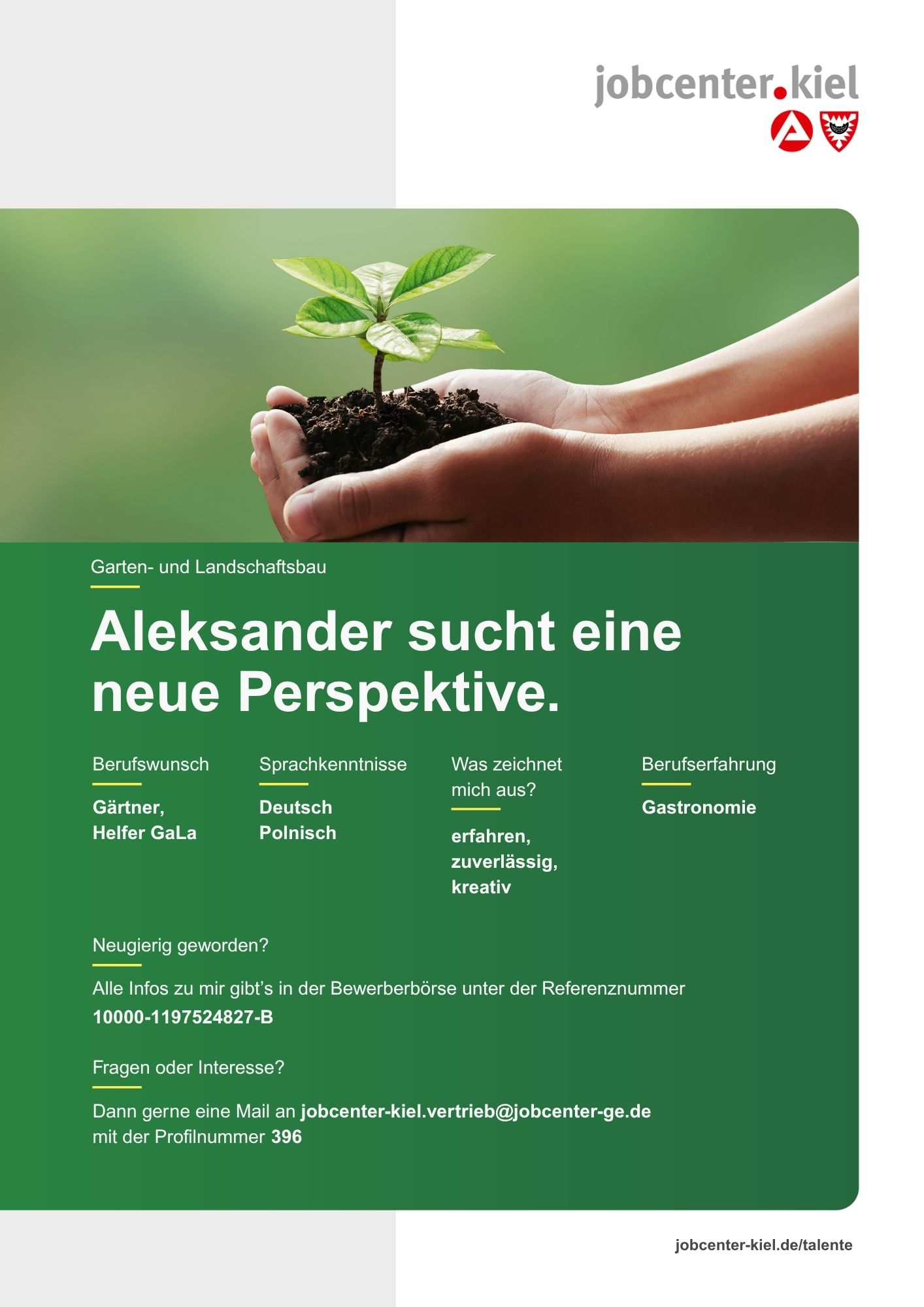 Voransicht eines Talentprofils des Jobcenters Kiel. Oben rechts das Logo des Jobcenters Kiel. Darunter eine Fotografie von Händen, die eine kleine Pflanze mit Erde halten. In der Bildmitte Text: ‚Aleksander sucht eine neue Perspektive.‘ Es folgen Angaben zu Berufswunsch (Gärtner, Helfer GaLa), Sprachkenntnissen (Deutsch, Polnisch), Was zeichnet mich aus? (erfahren, zuverlässig, kreativ), sowie Berufserfahrung (Gastronomie). Unten Kontaktinformationen zum Jobcenter Kiel mit E-Mail-Adresse (jobcenter-kiel.vertrieb@jobcenter-ge.de), Profilnummer (396) und die Referenznummer (10000-1197524827-B) für die Bewerberbörse der Agentur für Arbeit. Mit Klick auf diese Voransicht erscheint das Profil als PDF mit denselben Informationen.